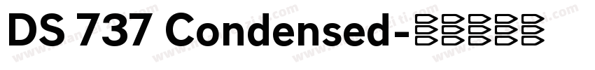 DS 737 Condensed字体转换
